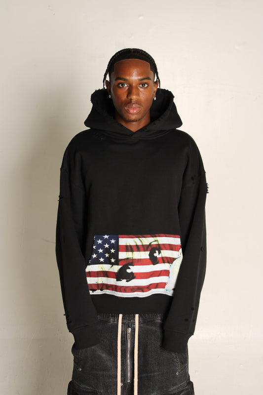 "usa" hoodie